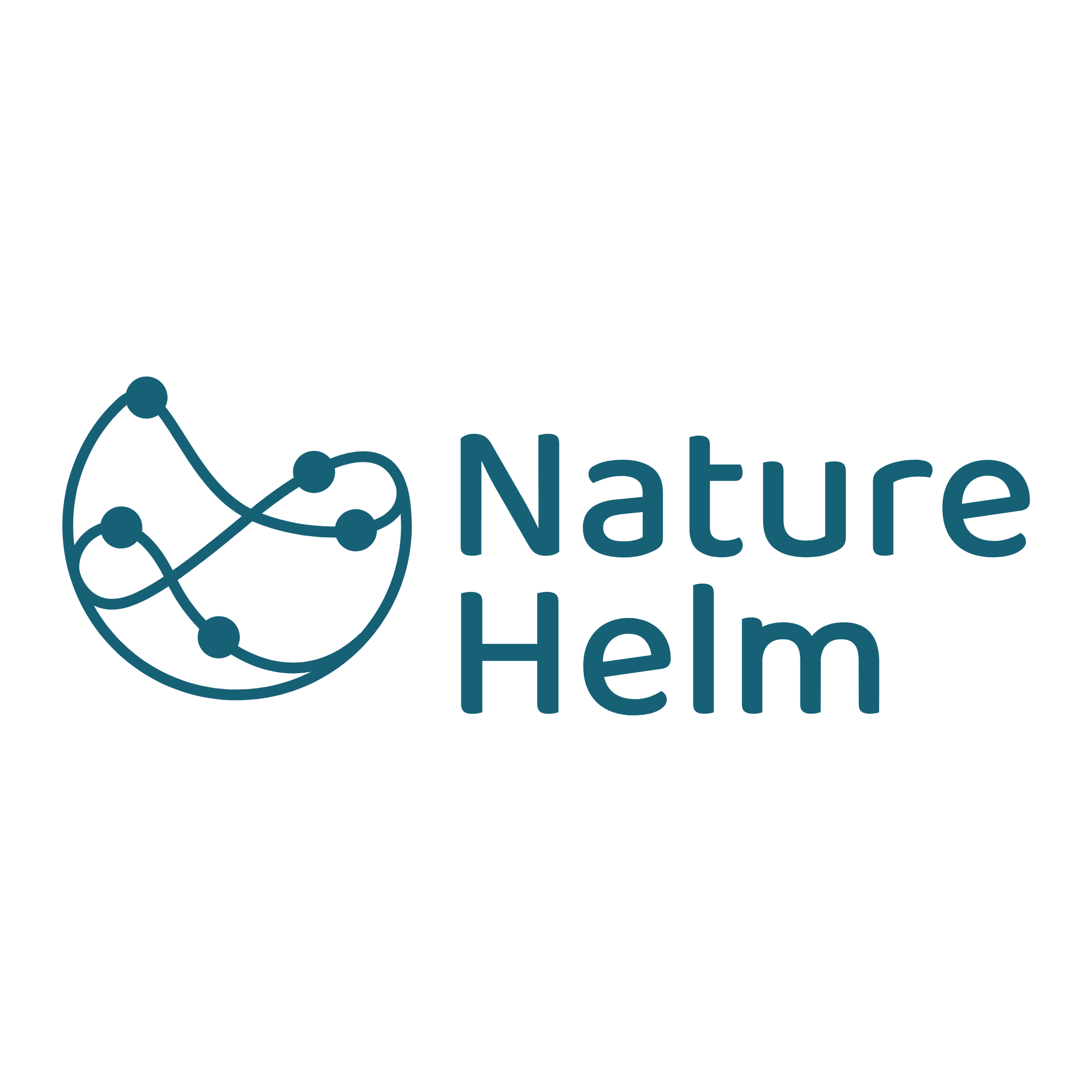 NatureHelm logo